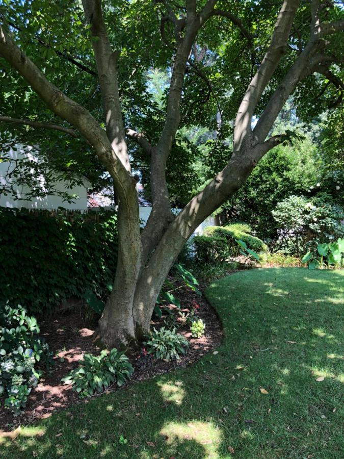 Cheerful Getaway/garden/by State Park. * West Hempstead